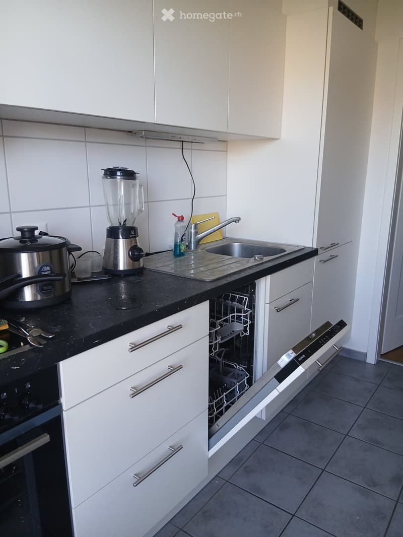 Modern kitchen with white cabinets, black countertop, stainless steel sink, blender, cooker, and open dishwasher.