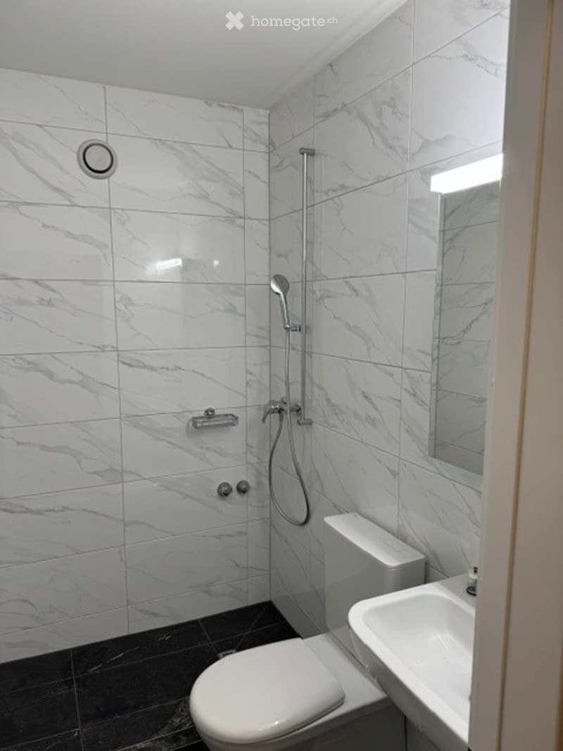 Modern bathroom with white marble tiles, a toilet, a sink, a mirror, and a shower head.