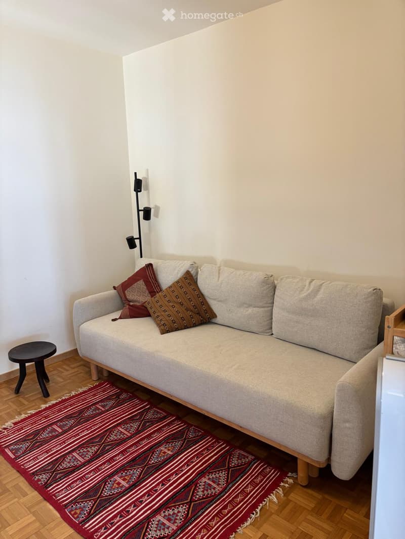 A small, cozy living room with a grey sofa, decorative pillows, a small black stool, and a patterned rug on a wooden floor.