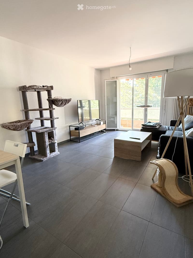 Modern living room with grey sofa, coffee table, white chair, cat tree, and large sliding glass doors leading to a balcony.