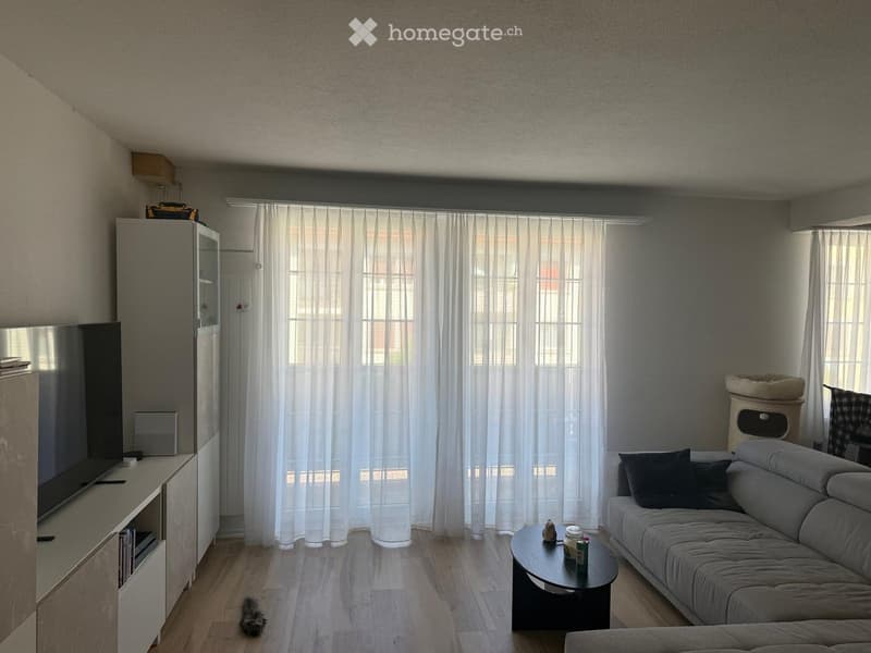 Modern living room with a grey sectional sofa, black coffee table, TV stand, and a small cat tree. The room features large windows with white curtains and wooden flooring.