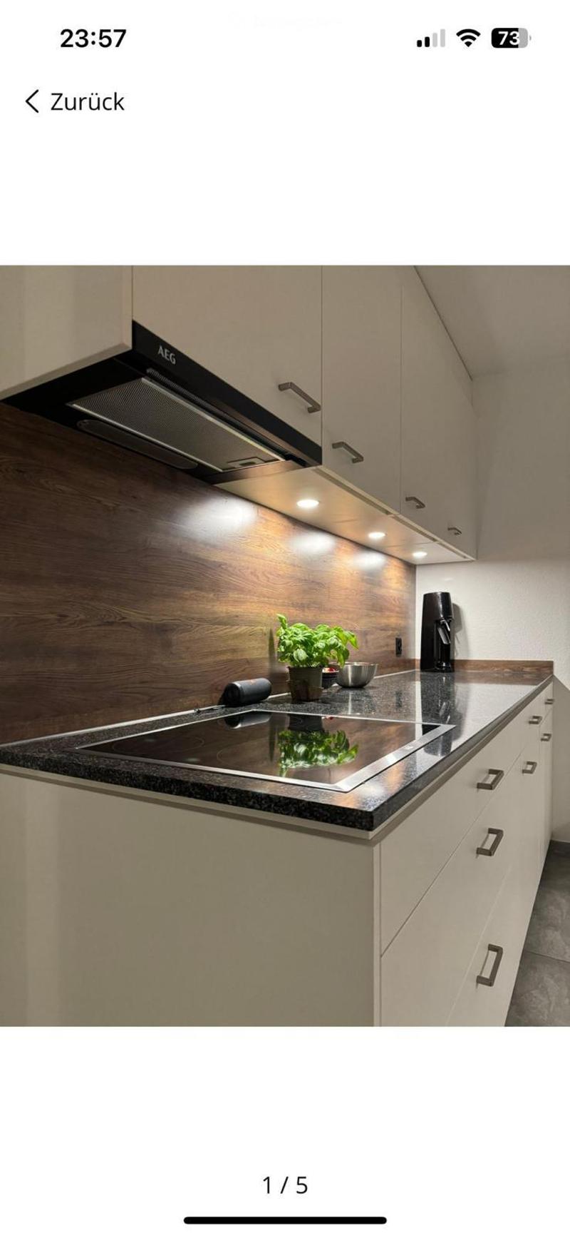 Modern kitchen with light-colored cabinets, an induction cooktop, a range hood, and a potted plant on the counter.