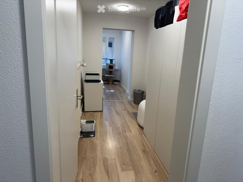 A narrow hallway with wooden flooring, white walls, and a ceiling light. A small room is visible at the end with a cat tree, a small table, and a trash bin.