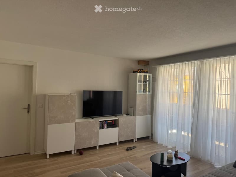 Modern living room with a grey sofa, coffee table, TV, and cabinet. Wooden flooring and large windows with curtains.