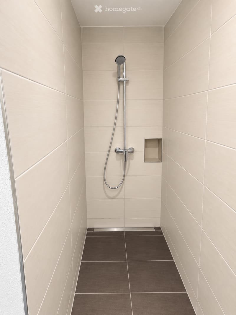 Modern shower area with beige tiled walls, dark brown tiled floor, and a sleek chrome showerhead and faucet.