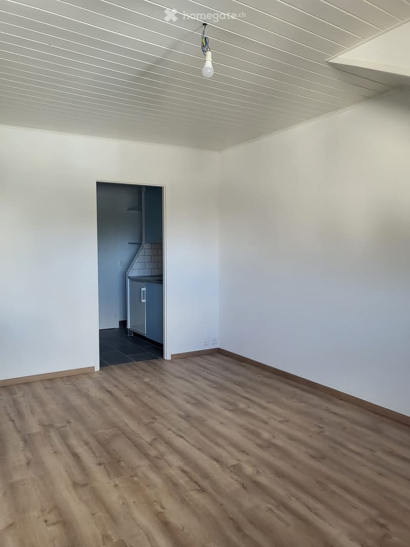 Empty room with light-colored walls, wooden flooring, and a visible kitchen area in the background.