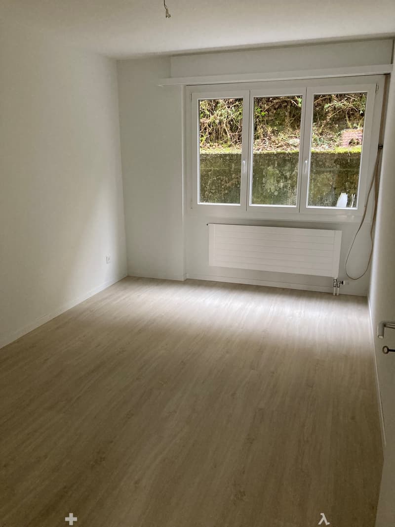 Empty room with light wooden flooring, white walls, and a large window with white frames. A white radiator is positioned below the window.