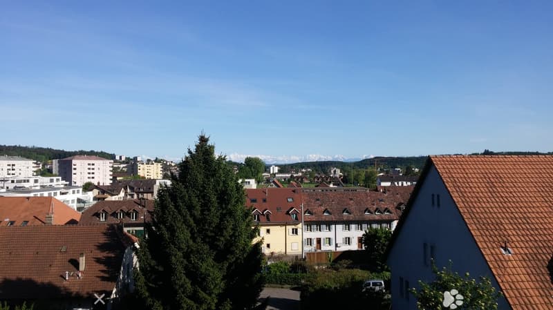 Urban area with various buildings, trees, and a distant mountain range.