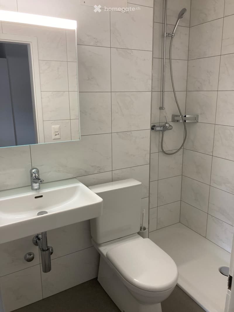 Modern bathroom with white marble tiles, a sink with a modern faucet, a toilet, and a showerhead with handheld sprayer.