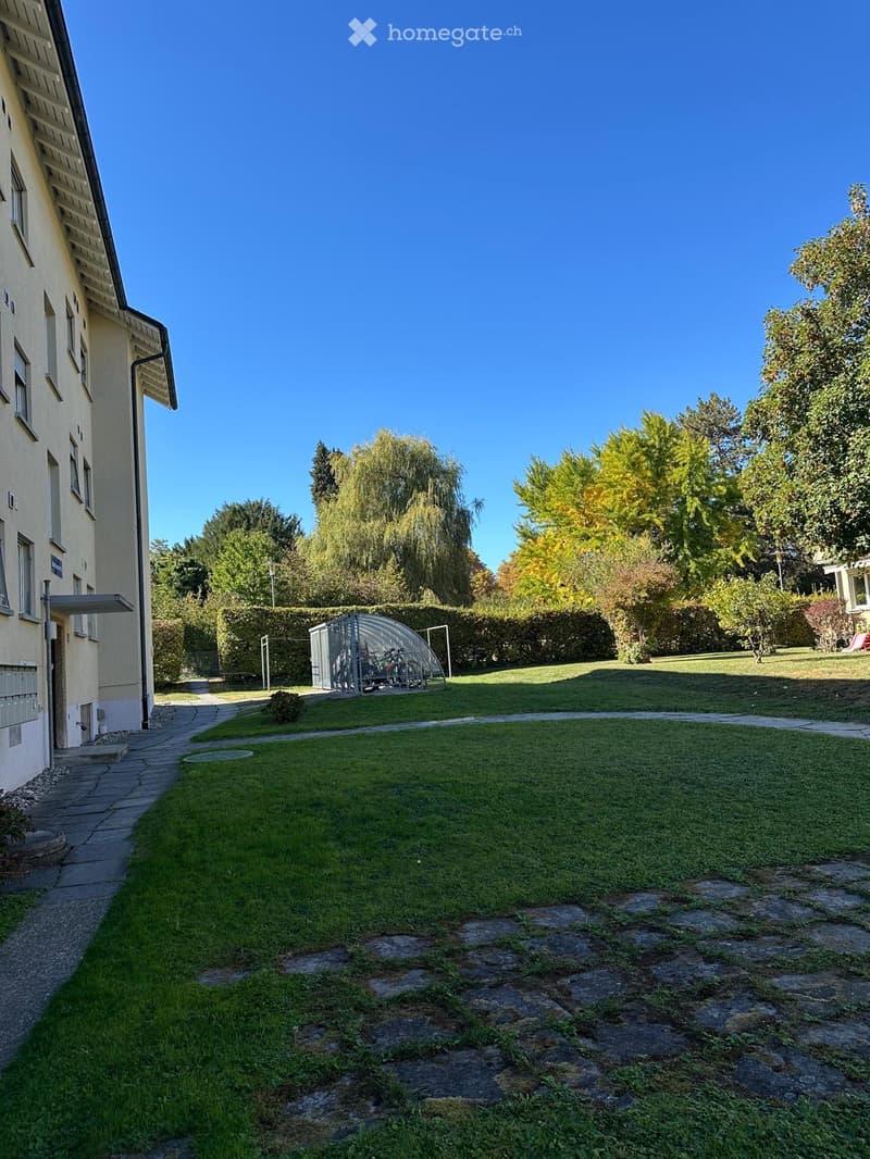 Well-maintained garden with a paved pathway leading to a house, surrounded by trees and shrubs, featuring a small shed and bicycles in the background.