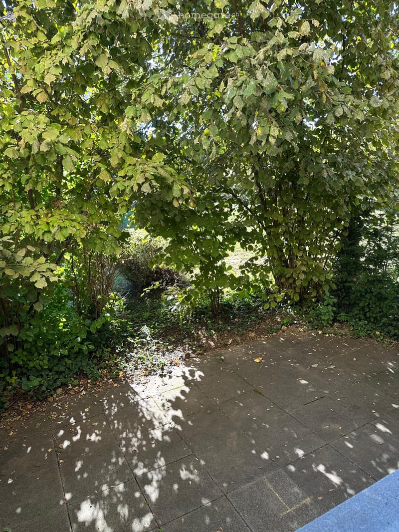 A paved outdoor area with concrete tiles, surrounded by lush green foliage and trees providing shade.