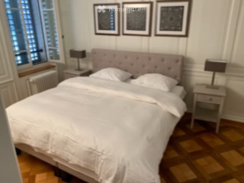 Luxurious furnished 2 bedrooms Flat 87m2 30 meters from Bahnhofstrasse (6)