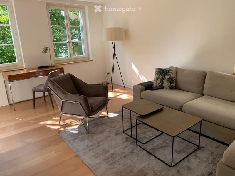 Luxurious furnished 2 bedrooms Flat 87m2 30 meters from Bahnhofstrasse (2)