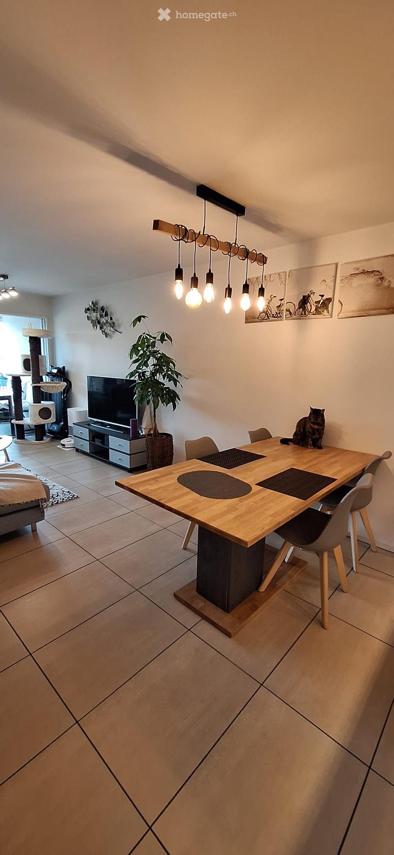 Modern living and dining area with a large wooden dining table, chairs, a cat, a television, a cat tree, and a potted plant.