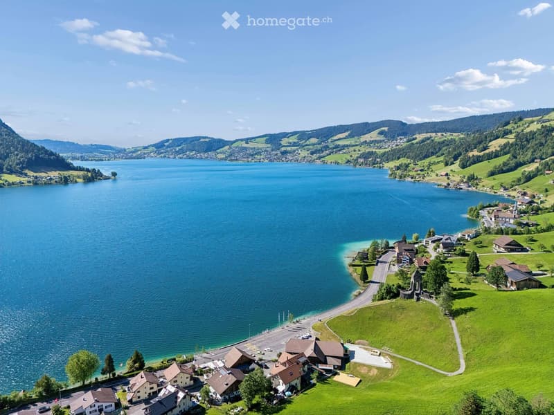 Aerial view of a serene lakeside village with houses, a road, and surrounding mountains.
