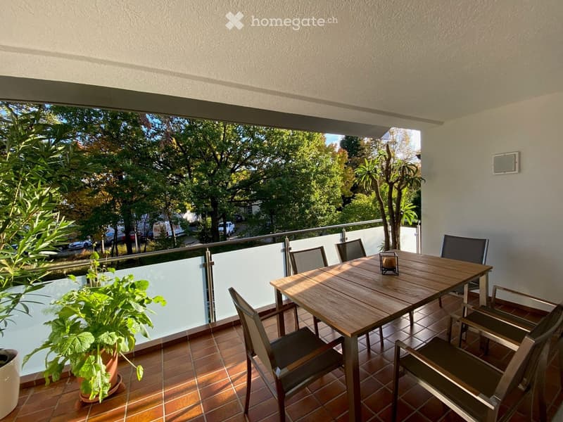 Balcony with a wooden table, chairs, and a potted plant, overlooking a green area with trees and parked cars.