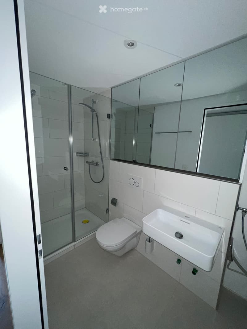 Modern bathroom with white tiles, a glass-enclosed shower, a toilet, a sink, and a large mirror.
