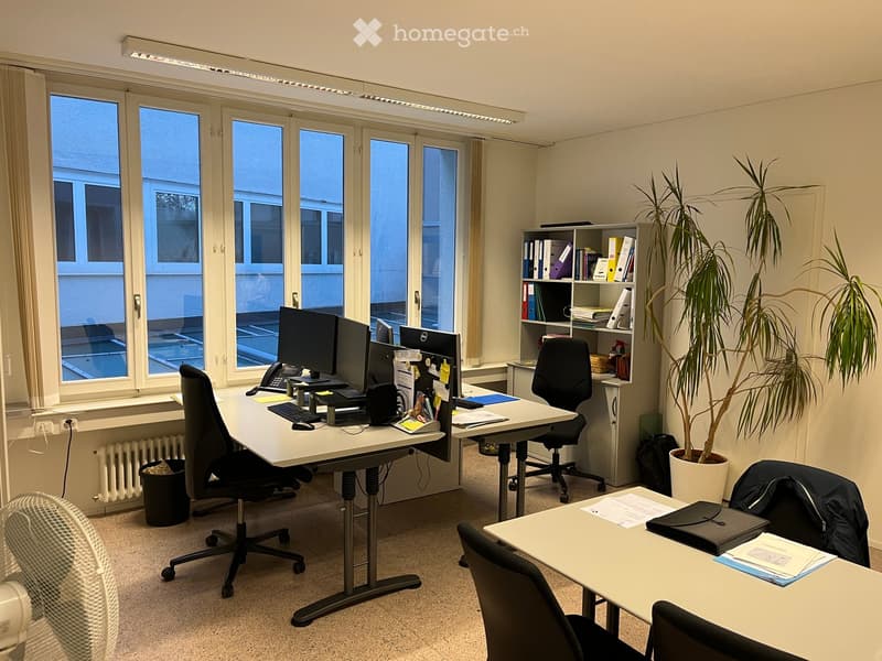 Office space with desks, chairs, computers, a fan, a potted plant, and shelves holding binders and books.