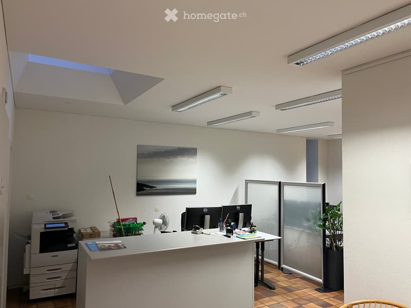 Modern office space with a white desk, dual computer monitors, printer, fan, potted plant, and a screen partition. The room features a skylight and linear ceiling lights.