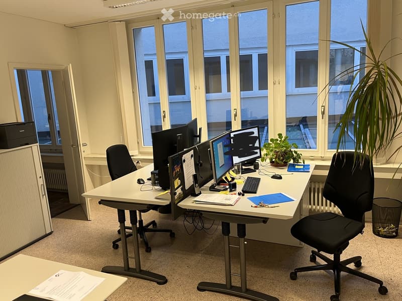 Office space with a large desk, two computer monitors, a keyboard, mouse, office chair, printer, and potted plants near the windows.