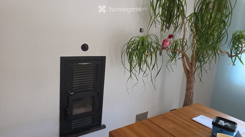 A small room with a wooden table, a fireplace, and a decorative plant with a bird perched on it.