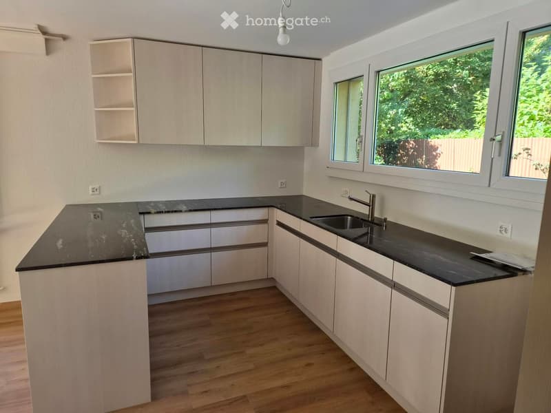 Modern kitchen with light-colored cabinets, black countertops, and a central island. Features a sink with a modern faucet and large windows overlooking greenery.