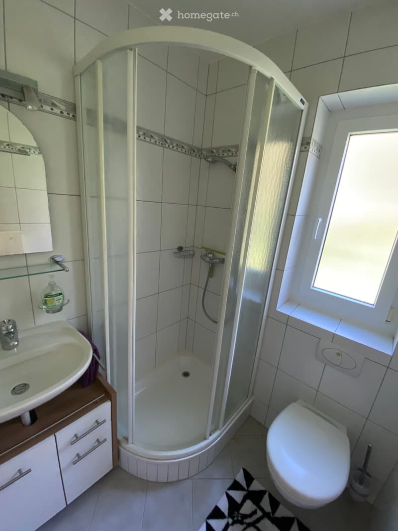 Modern bathroom with a corner shower, sink, toilet, and cabinet. Features a small window, a hand soap dispenser, and a black and white rug on the floor.