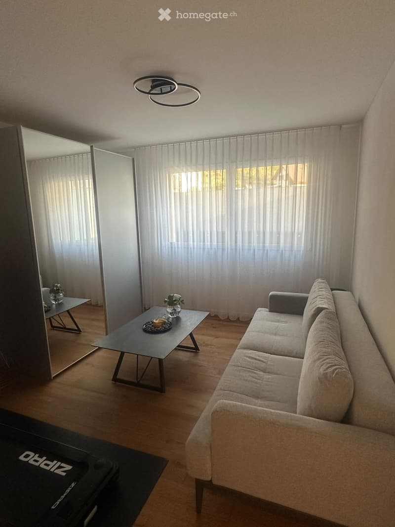Modern living room with a grey sofa, black coffee table, large mirror, and a small table with a vase and flower arrangement.