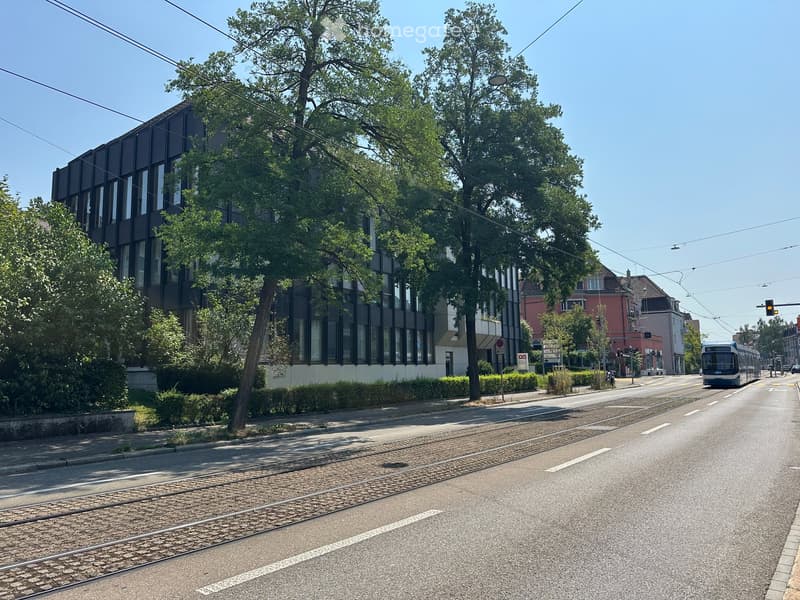 Modern multi-story building with large windows and a sleek design, surrounded by trees and greenery. The street in front has tram tracks and a passing tram.