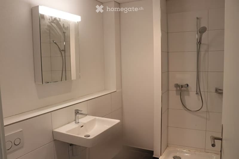 Modern, minimalist bathroom with a white sink, mirror, and a shower area with a handheld showerhead.