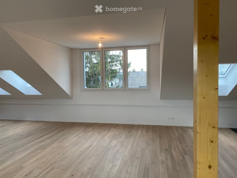 Empty room with wooden flooring, white walls, large windows, and skylights.