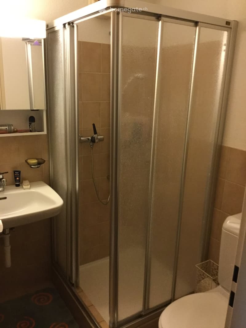 Modern bathroom with a glass-enclosed shower, a sink with a mirror, and a toilet. The shower has a handheld sprayer, and the sink has a soap dish and a small shelf with toiletries.