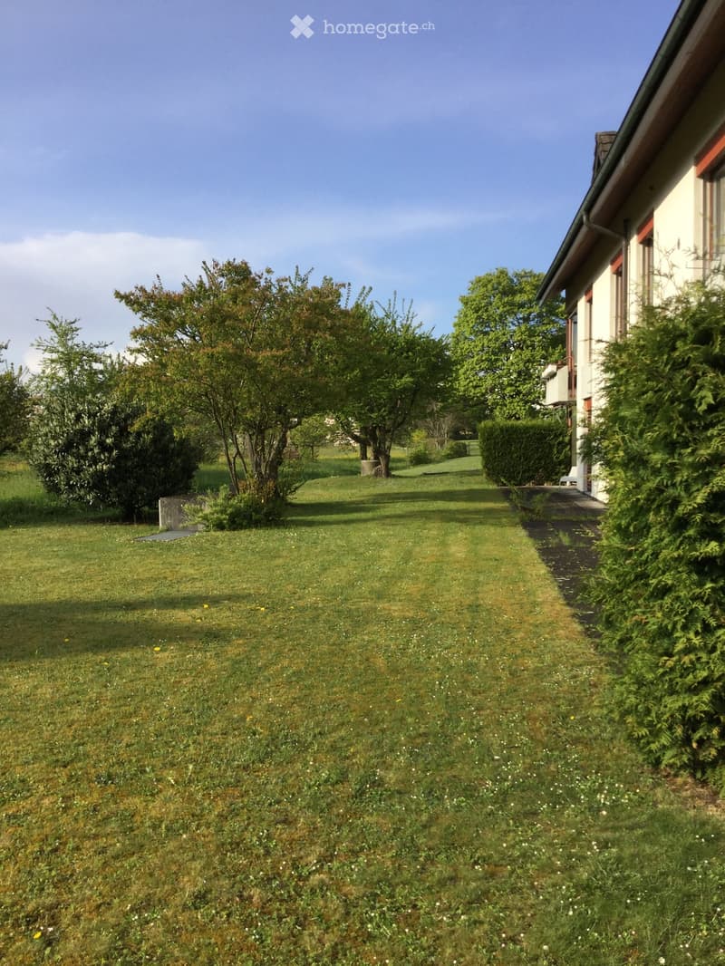 Well-maintained lawn with scattered trees and shrubs, adjacent to a house with a visible pathway.