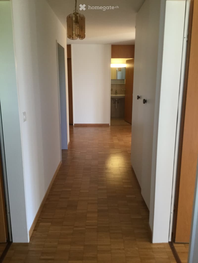 A narrow hallway with wooden flooring and white walls, featuring a hanging light fixture and a small bathroom visible at the end.