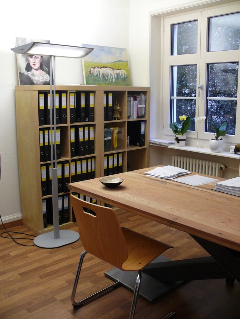 A well-lit room with wooden flooring, a large wooden table, a modern chair, a bookshelf filled with binders and books, a floor lamp, and decorative items including a bowl and flower pots on the windowsill.