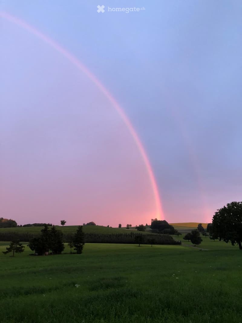 Open field with scattered trees and a rainbow in the sky during sunset.