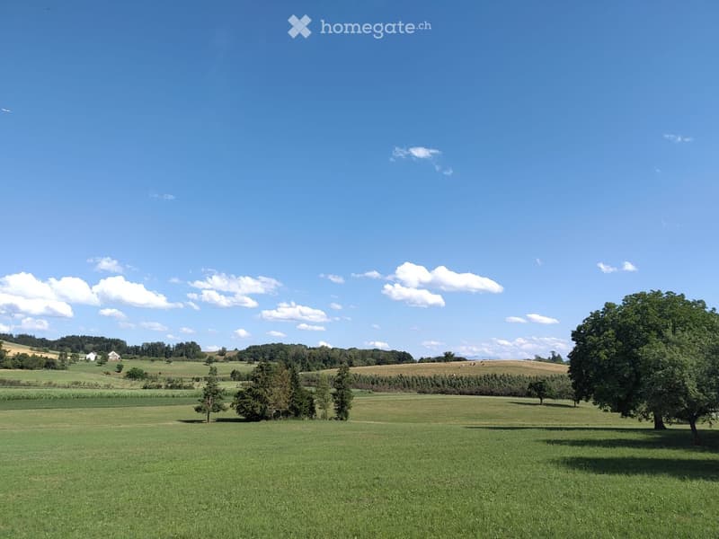 Open green field with scattered trees, distant farmhouses, and a clear blue sky with scattered clouds.
