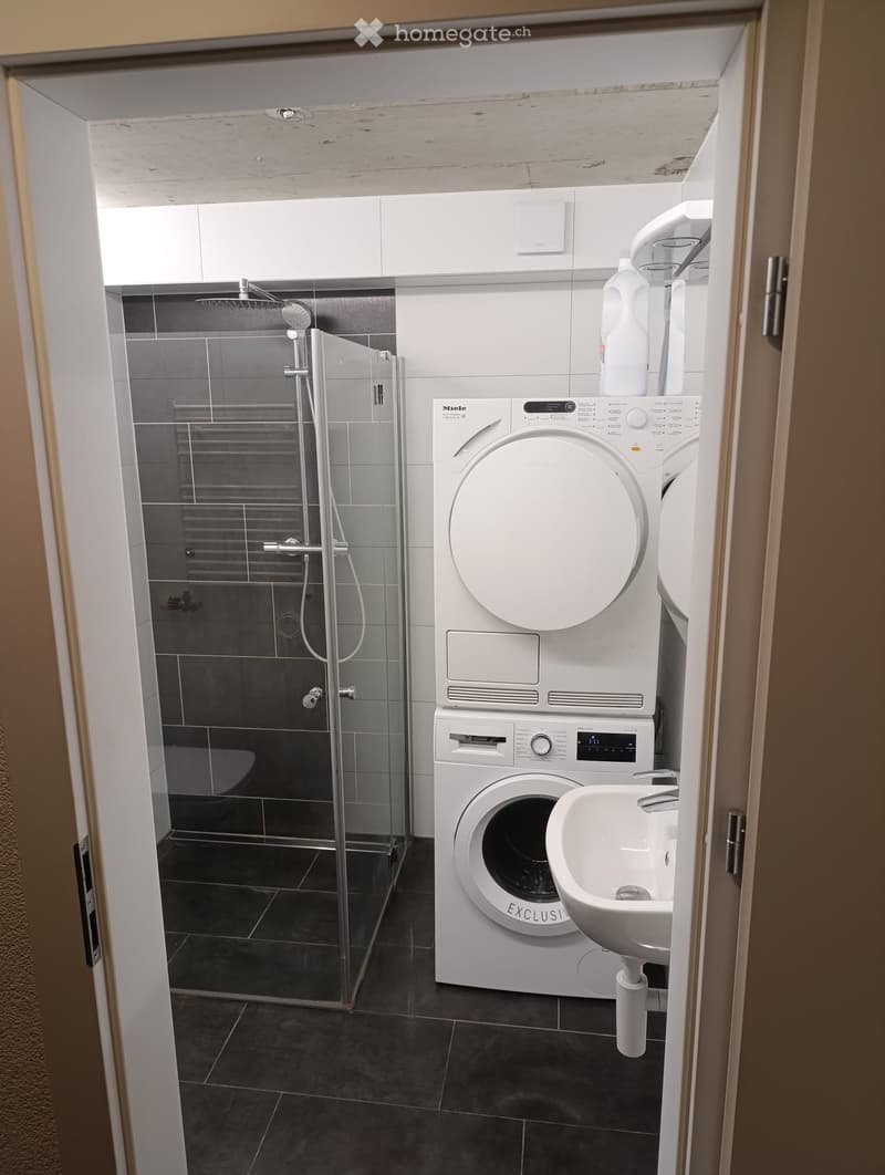 Modern bathroom with a washing machine, a sink, and a glass-enclosed shower area.
