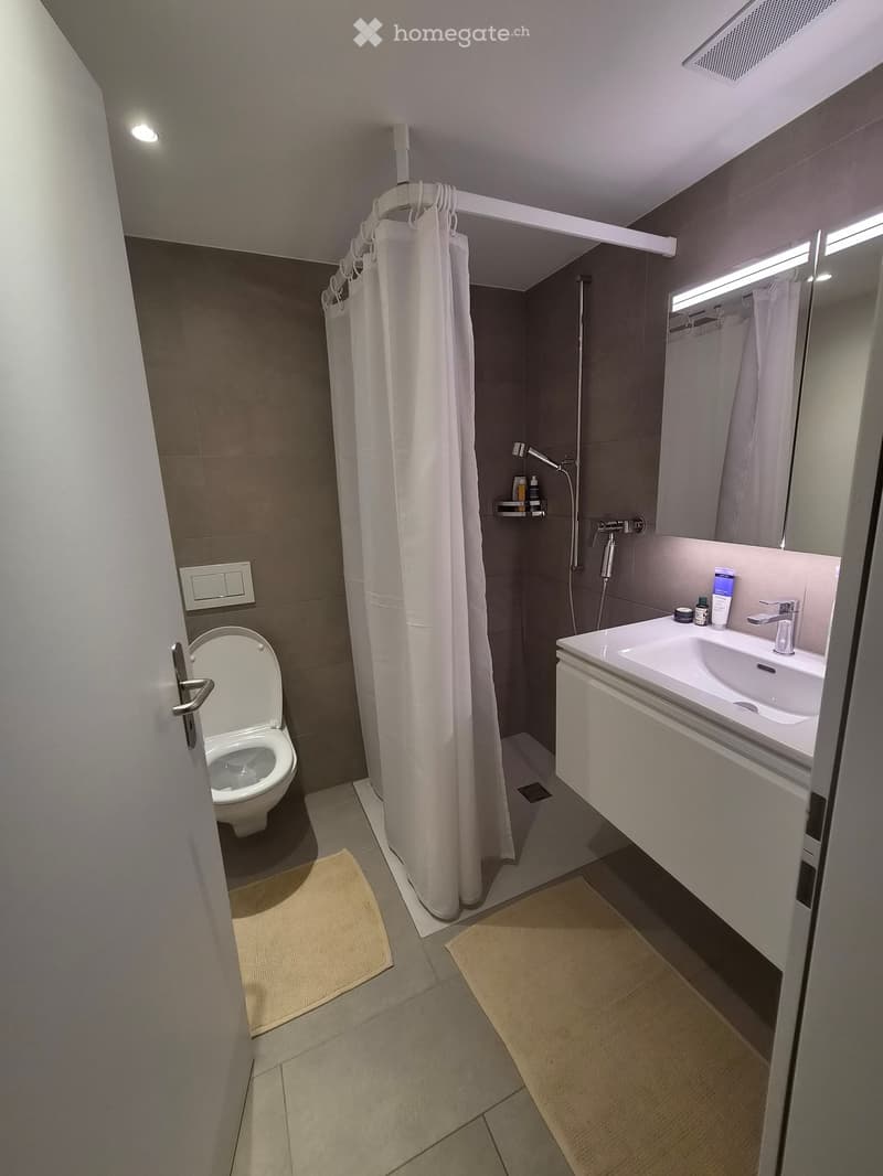 Modern bathroom with a toilet, sink, mirror, and shower area with a curtain. Includes a small shelf with toiletries and a built-in cabinet under the sink.