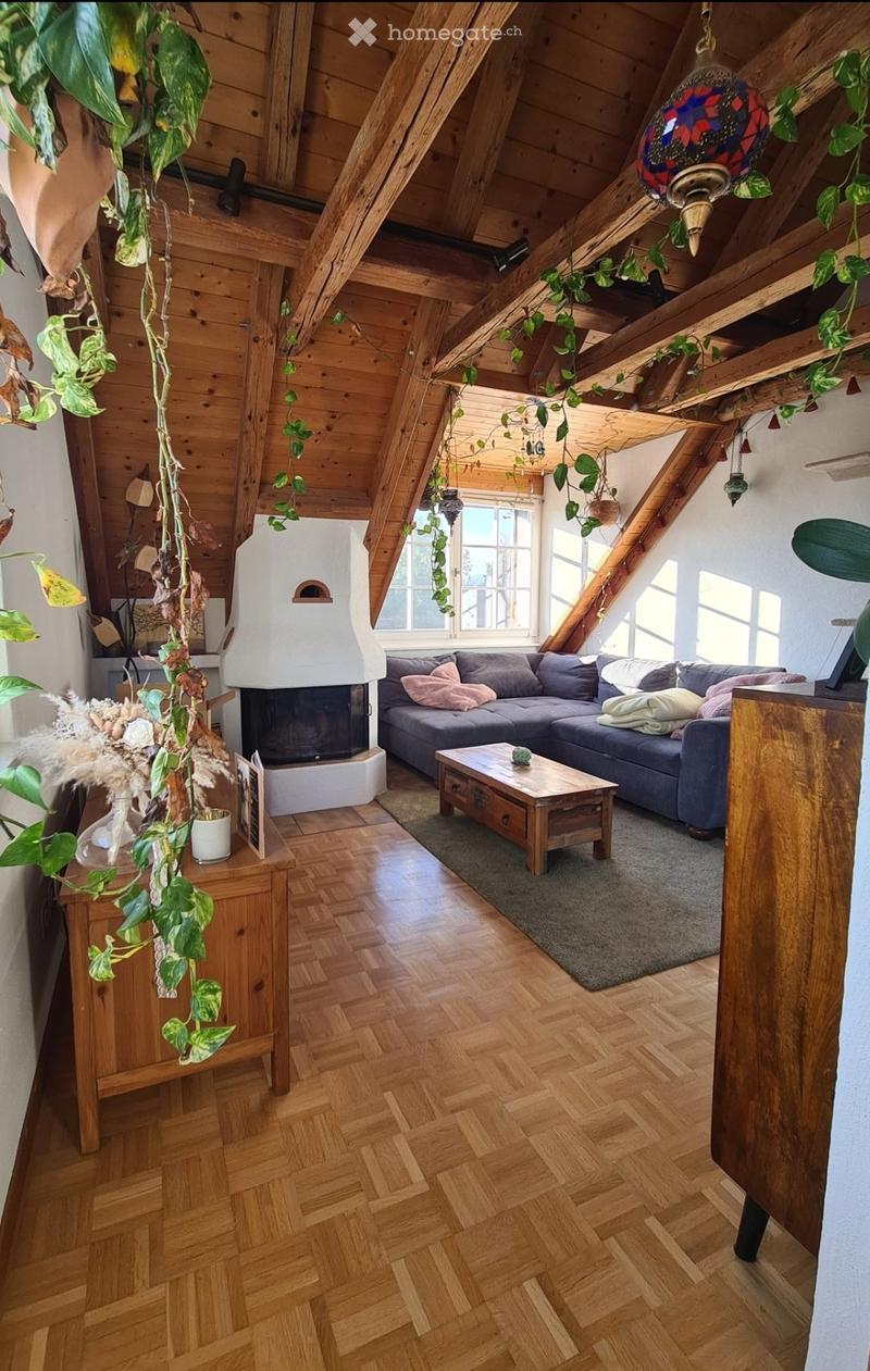 3 Zimmer Maisonette-Wohnung in Grüningen (1)