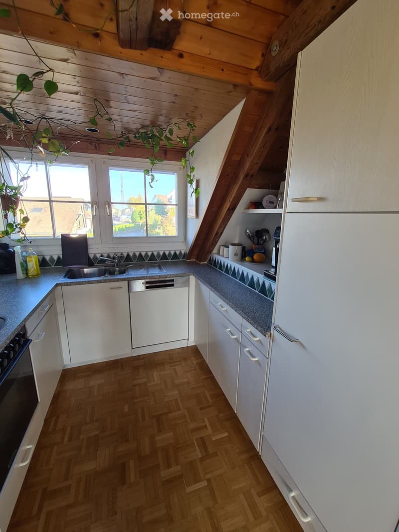 Bright kitchen with white cabinets, wooden herringbone flooring, and modern appliances including a refrigerator, oven, sink, and dishwasher. The space features a window with a view of the outside and a hanging plant adding a touch of greenery.
