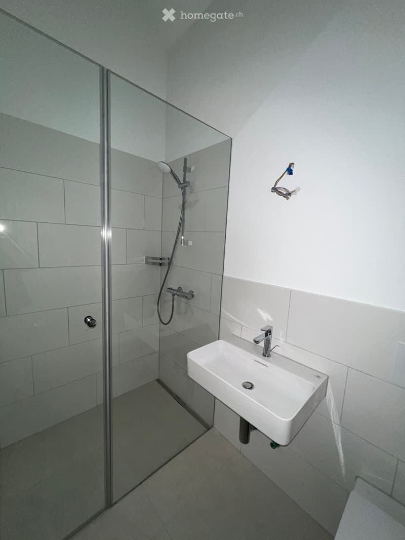 Modern bathroom with a white sink, chrome faucet, glass-enclosed shower, and a handheld showerhead.