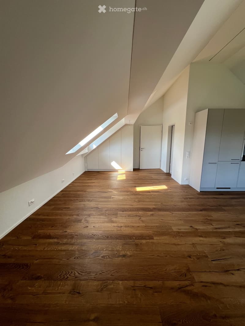 Empty attic room with wooden flooring, white walls, and built-in storage cabinets. Natural light streams in through a skylight window.