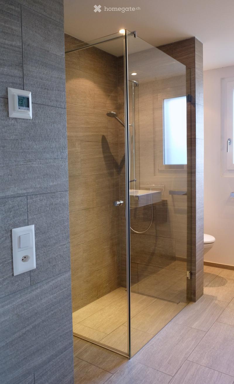 Modern bathroom with a glass-enclosed shower, a sink, and a toilet. The shower has a sleek, contemporary design with a glass door and a handheld showerhead. The walls are tiled in a combination of dark grey and light beige tiles, and the floor is covered