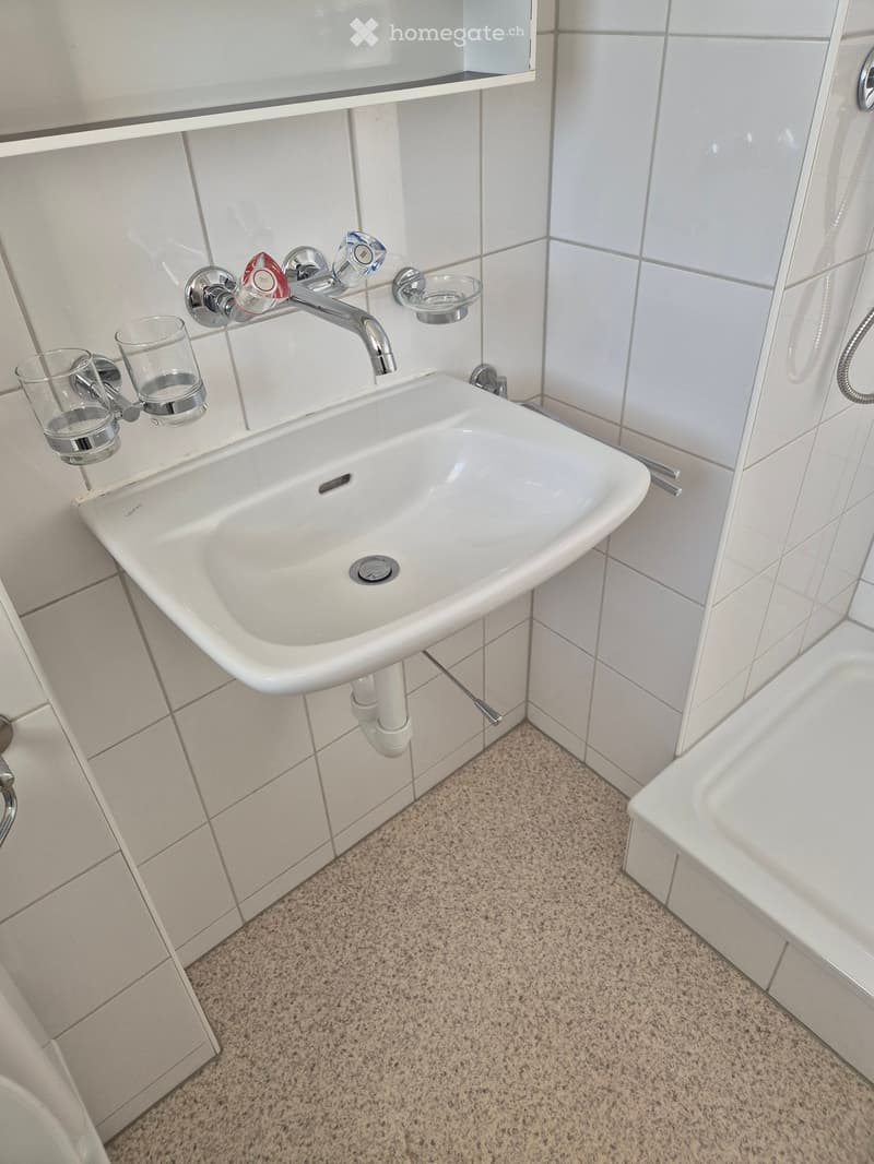 Modern bathroom with a white sink, chrome faucet, two glass cups on a holder, and a mirror above the sink. The walls are tiled in light gray, and the floor is covered with a beige carpet.
