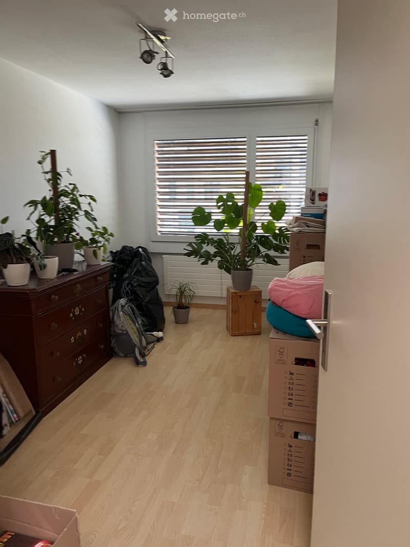 A furnished room with wooden flooring, a dresser with potted plants, a backpack, a small stool with a large leafy plant, a bean bag, and several cardboard boxes.
