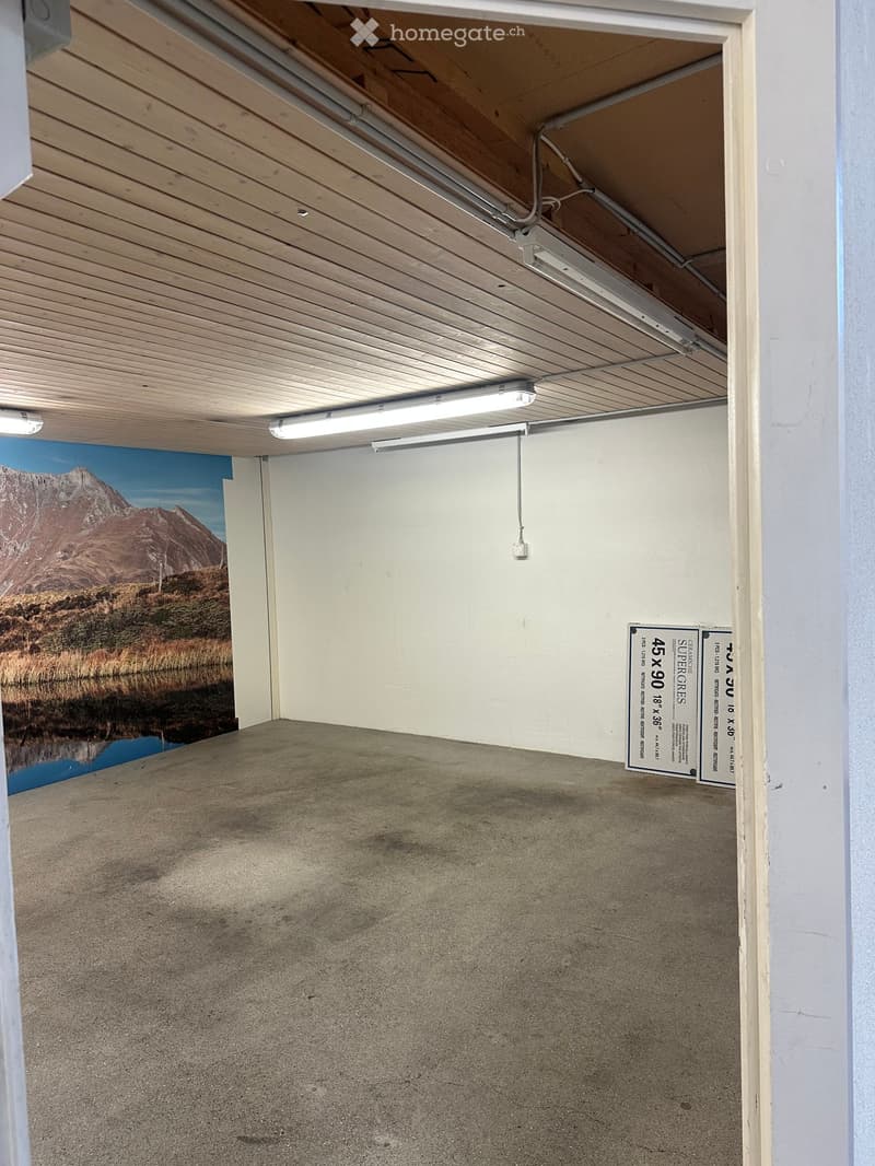 Empty garage space with concrete floor, white walls, and a mural of a mountain landscape on one wall. Fluorescent lighting is mounted on the ceiling.