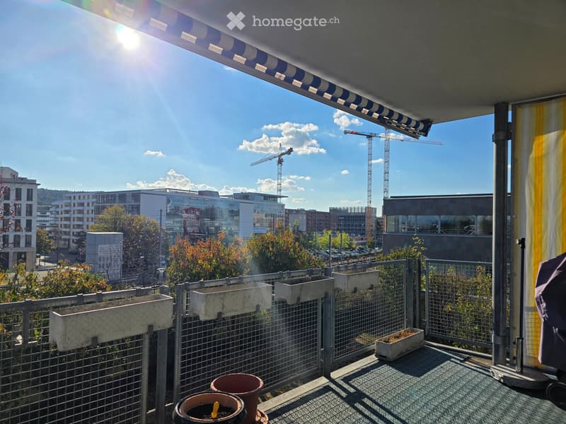 Balcony with metal railing, potted plants, and a view of a cityscape with modern buildings and construction cranes.