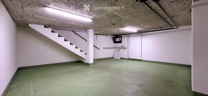 white walls, green floor, white staircase, mounted sink, TV, wall-mounted radiators