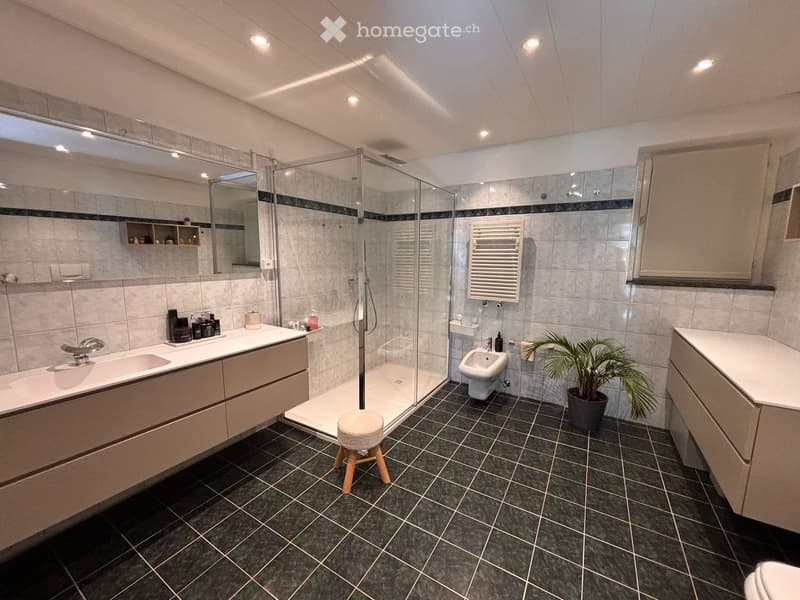 Modern bathroom with a large mirror, double sink, shower, toilet, and a small plant on the floor.